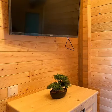 Chalet De Sub Nuc