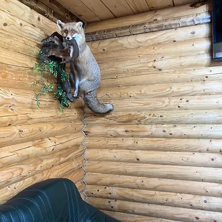 Chalet De Sub Nuc